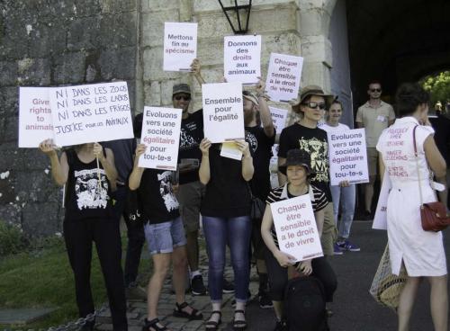 action bisontine (12 sur 24)