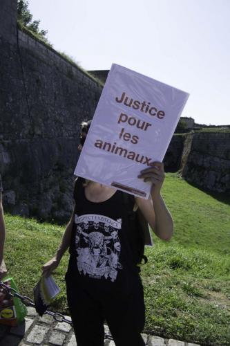 action bisontine (17 sur 24)