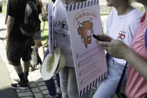 action bisontine (19 sur 24)