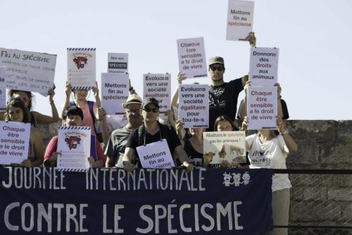 action bisontine (22 sur 24)