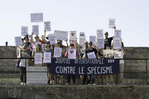action bisontine (23 sur 24)
