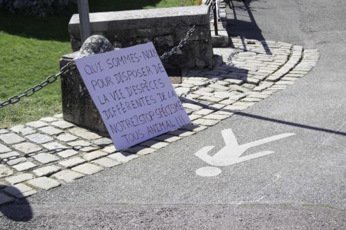 action bisontine (3 sur 24)