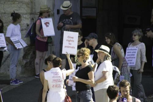 action bisontine (9 sur 24)
