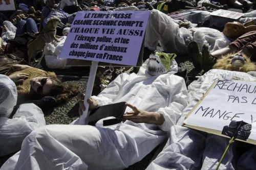 action marche pour le climat (20 sur 30)