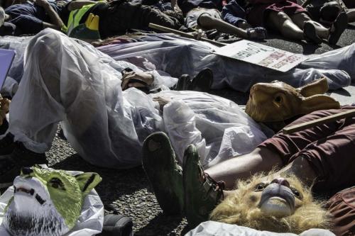 action marche pour le climat (21 sur 30)