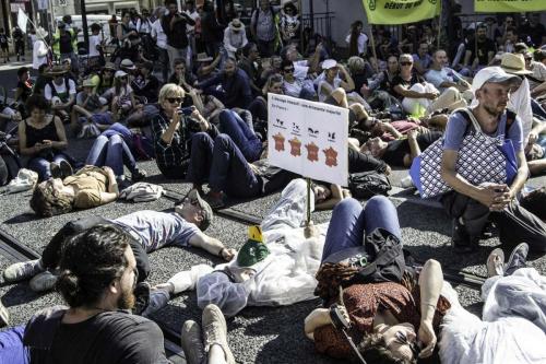 action marche pour le climat (27 sur 30)