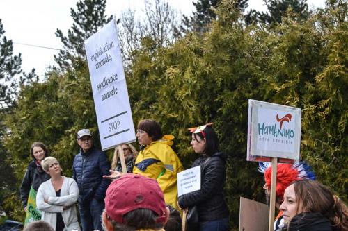 manif flangebouche (13 sur 16)