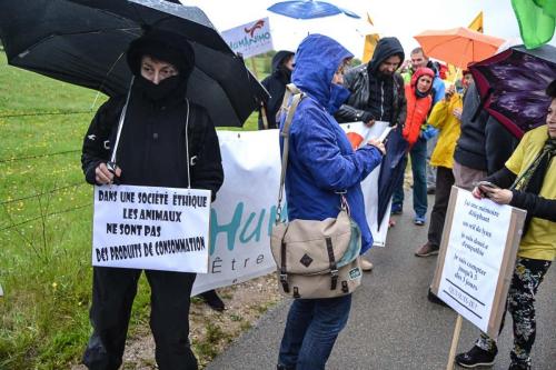 manif flangebouche (1 sur 16)