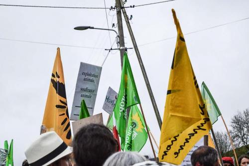 manif flangebouche (6 sur 16)