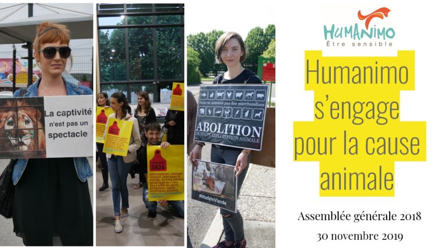 Rapport d'activités 2018